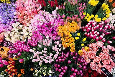 像素风RPG游戏《泰拉往事》现已推出试玩Demo 3月27日正式发售